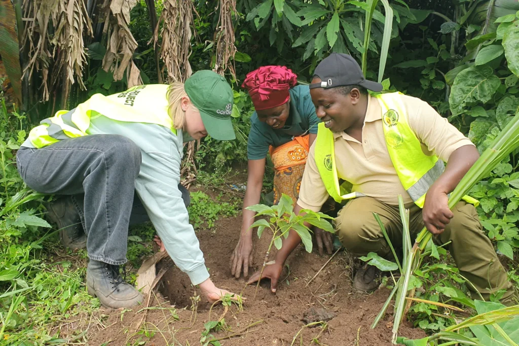Plant a Tree in Tanzania Today: What Your Donation Actually Does