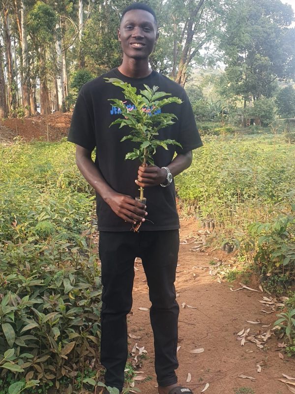 CHANGAMOTO YOUTH DEVELOPMENT ORGANIZATION