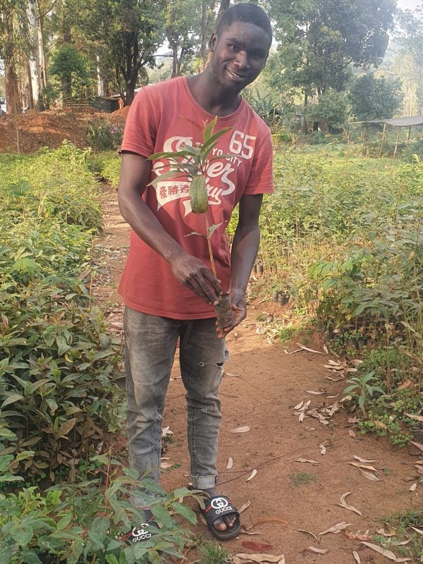 CHANGAMOTO YOUTH DEVELOPMENT ORGANIZATION TEAM MEMBER