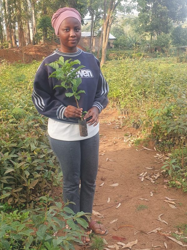 CHANGAMOTO YOUTH DEVELOPMENT ORGANIZATION TEAM MEMBER CHANGAMOTO YOUTH DEVELOPMENT ORGANIZATION TEAM MEMBER