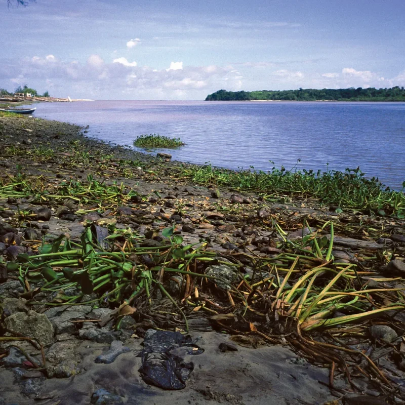 Pangani-River-Tanga-Tanz